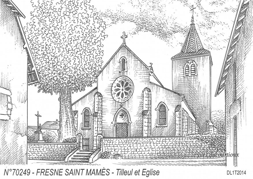 N 70249 - FRESNE ST MAMES - tilleul et église